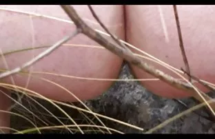 XXX Big Tits Sex Video